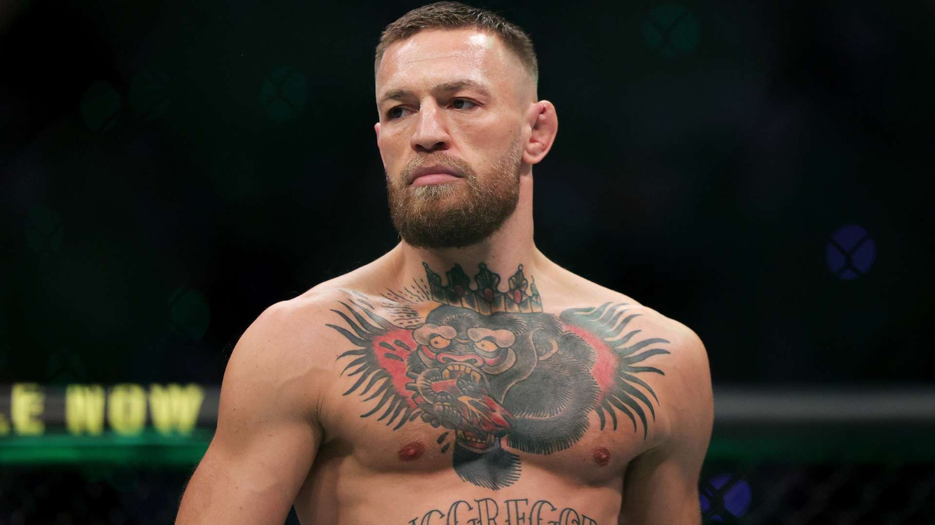 赛的重要组 赛的重要组