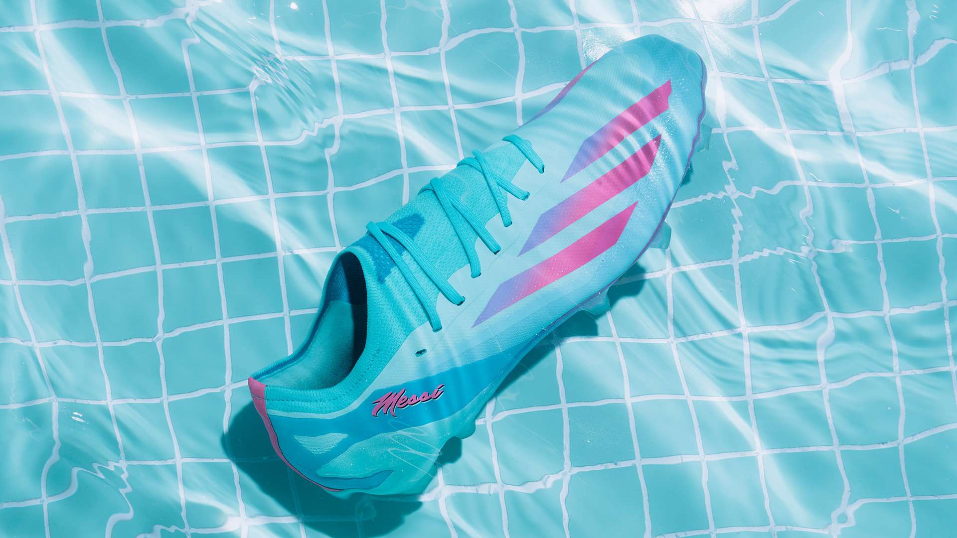 活力感召了 活力感召了